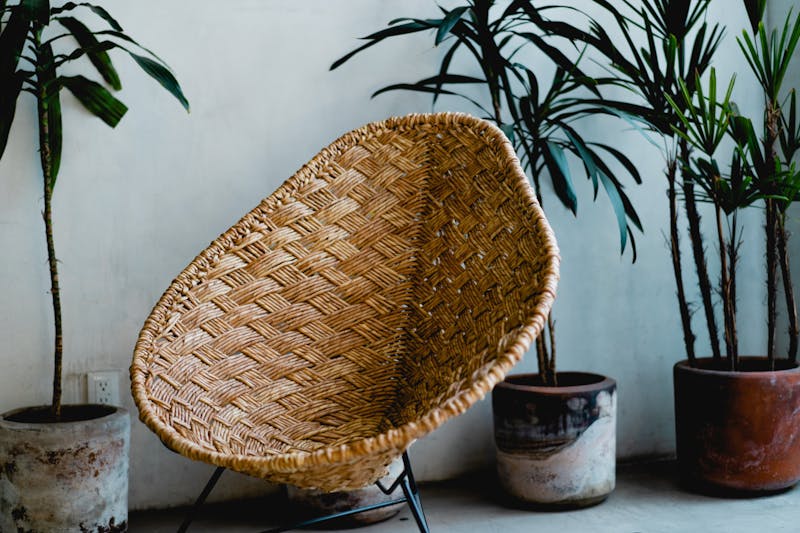 Chaise en osier dans un espace de coworking branché
