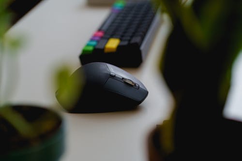 Souris externe bluetooth Logitech utilisée avec un clavier externe dans un bureau à domicile