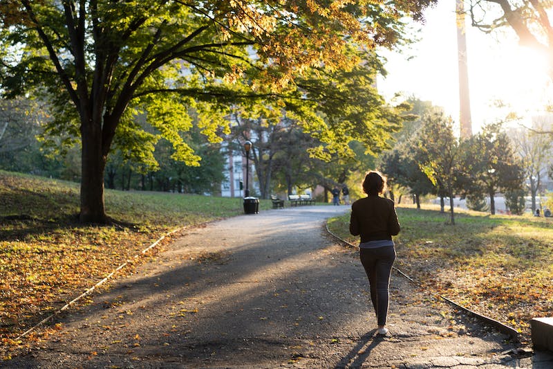 Figure d'une jeune fille marchant le long d'un chemin pavé dans le parc de Fort Greene à Brooklyn, New York.